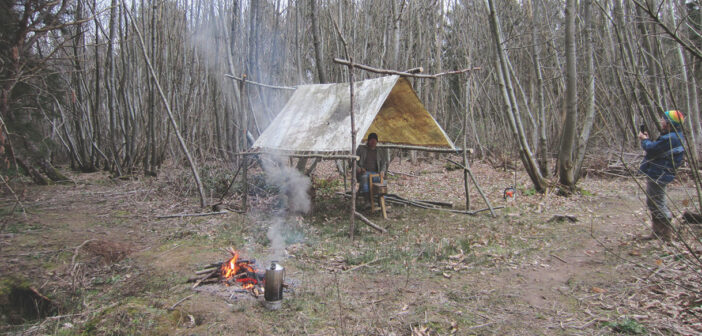 A Woodsman’s Shelter (Another Tale from 40 Acre Wood)