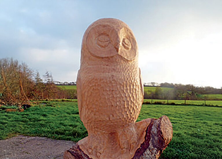 Wooden owl sculpture in grassy field.