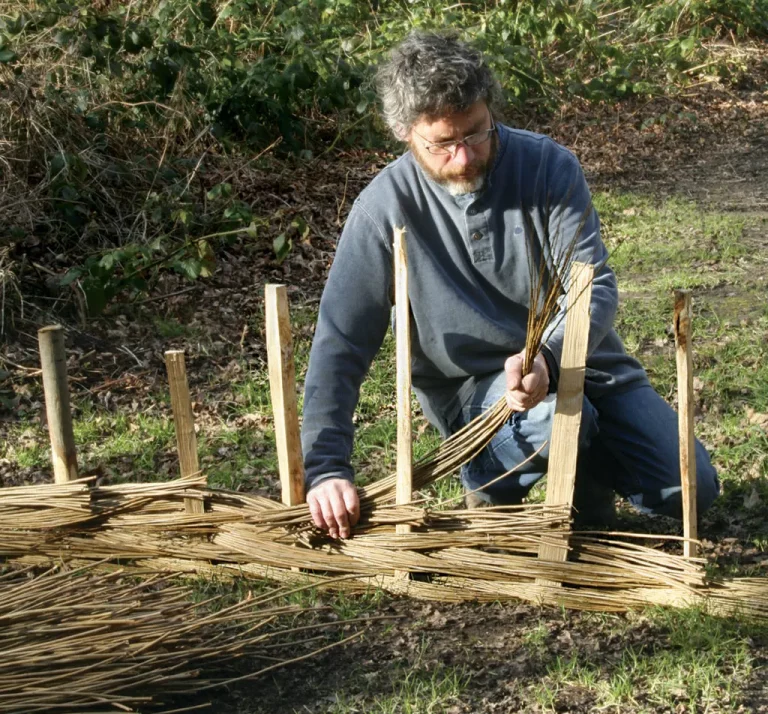Man weaving wicker fence in outdoor setting.
