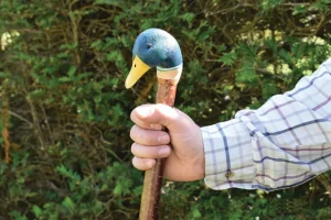 Hand holding a cane with duck-shaped handle.