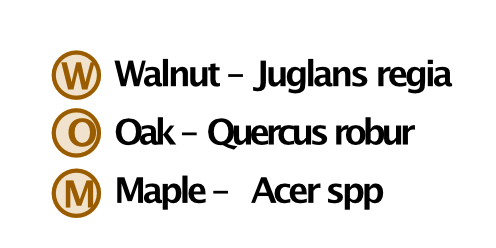 Walnut, Oak, Maple trees with scientific names.