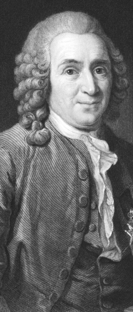 Engraving of a historical man with curly hair.