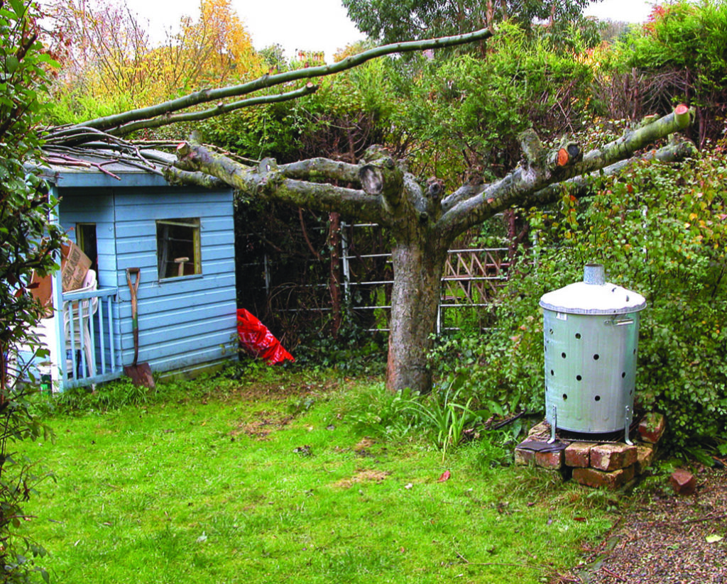 Garden with shed, pruned tree, and metal bin.