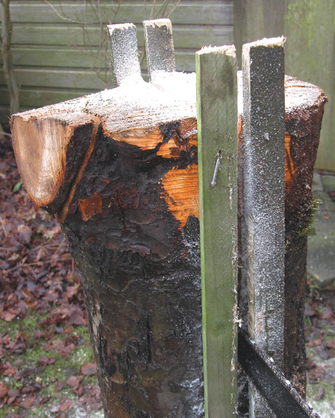Tree stump with upright metal bars attached.