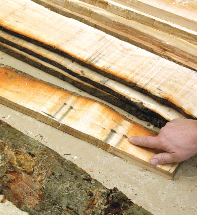 Person inspecting rough-sawn wood planks.