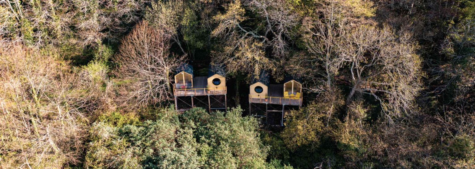 Reconnecting Tree Reconnect with Nature in Unique Tree Tents & Structures