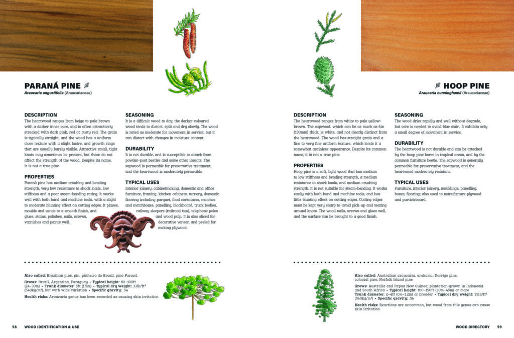 Comparison of Paraná pine and hoop pine wood properties.