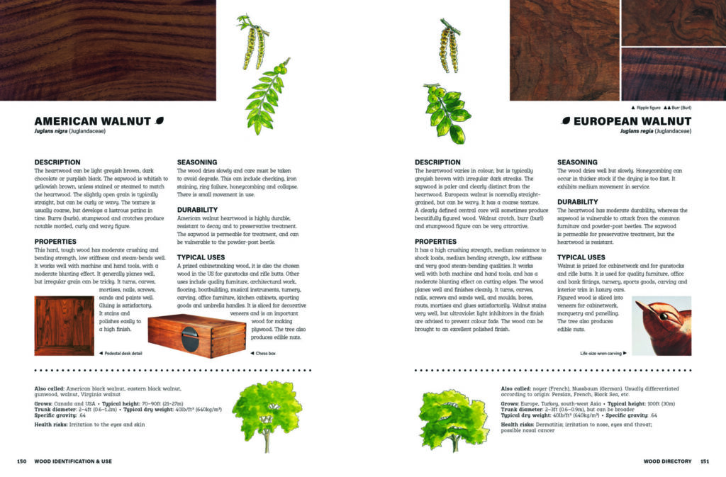Comparison of American and European walnut wood properties.