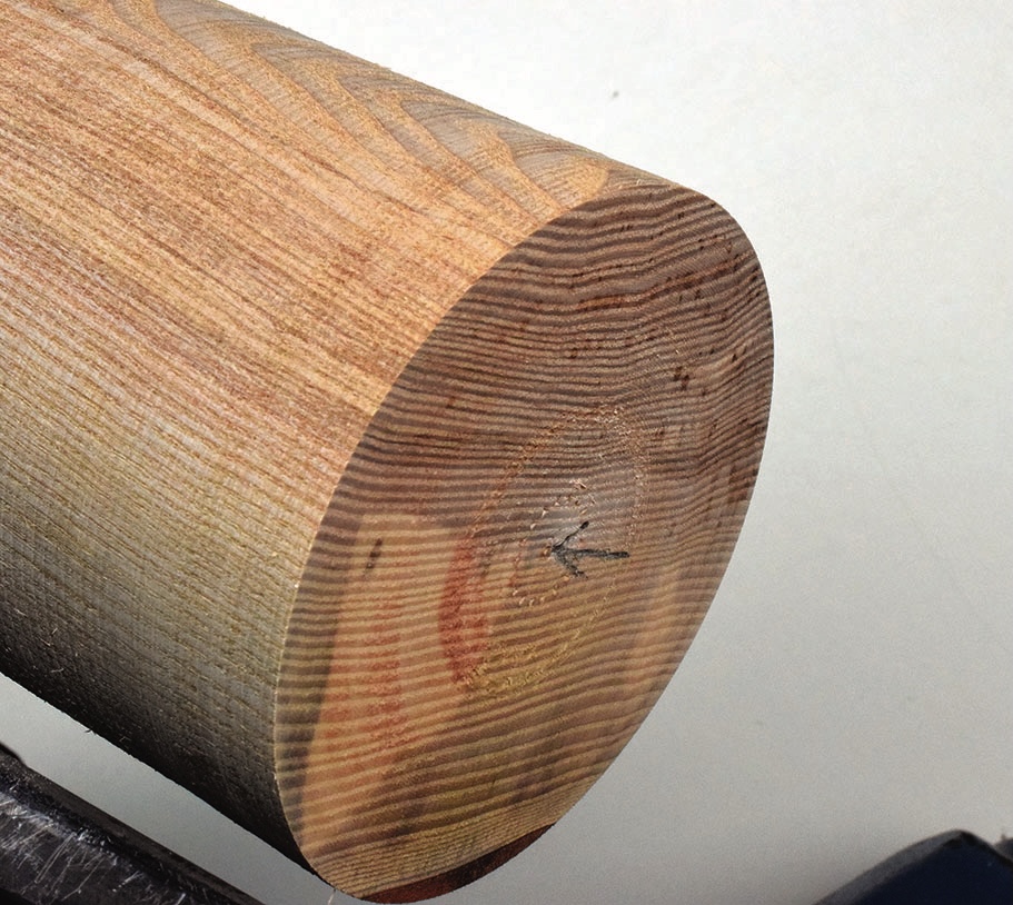 Close-up of a wooden log end grain texture.