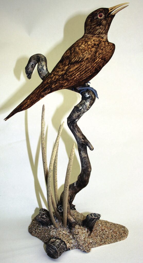 Taxidermy bird on artistic branch display