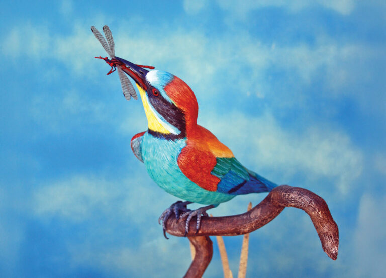 Colourful bird holding dragonflies on branch.