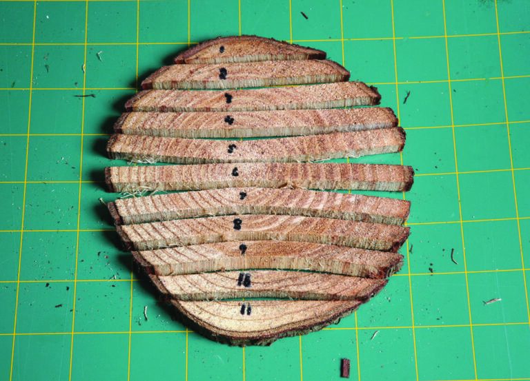 Sliced wooden discs on green cutting mat.