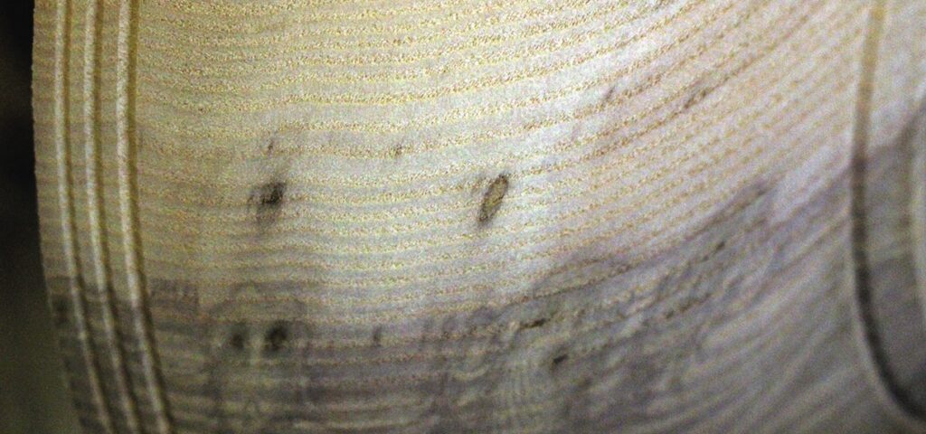 Close-up of wood texture with grain patterns.