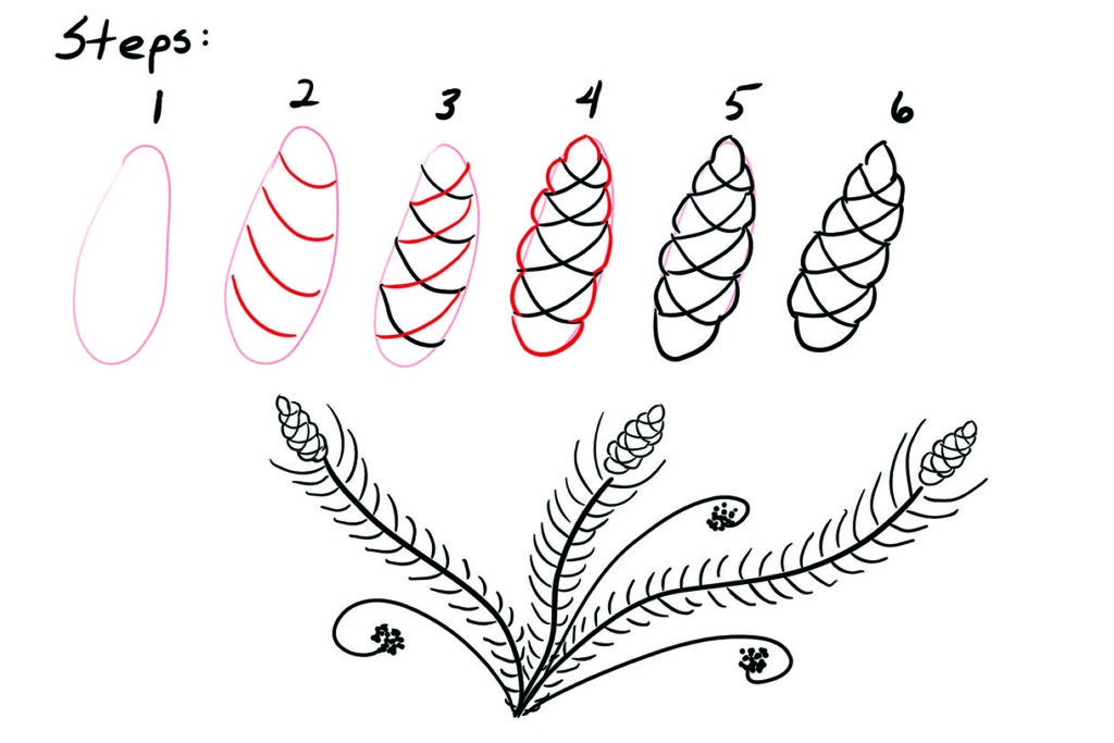 Step-by-step guide to drawing pine cone pattern