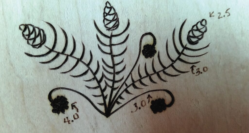 Decorative plant design with cones and berries.