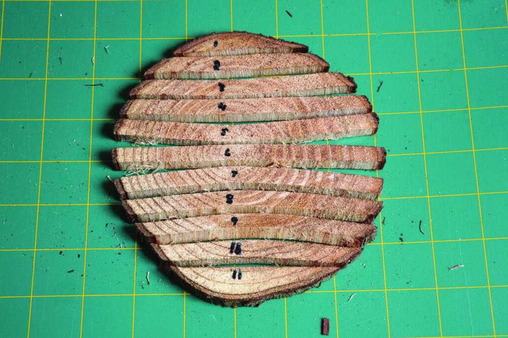 Sliced wood bark displayed on green cutting mat.