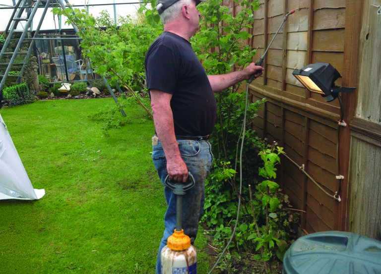 Man spraying wooden fence in garden