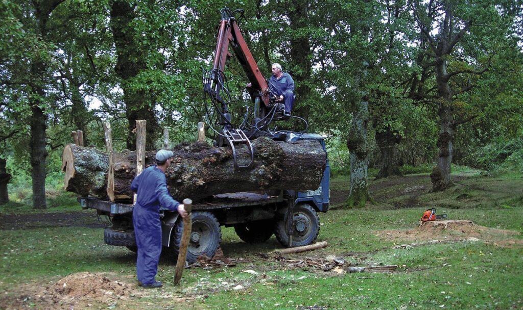 Workers loading large log onto truck in forest.