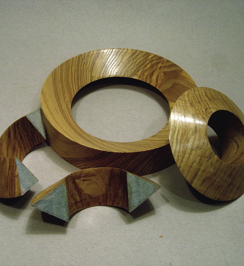Wooden rings and curved pieces on grey surface.