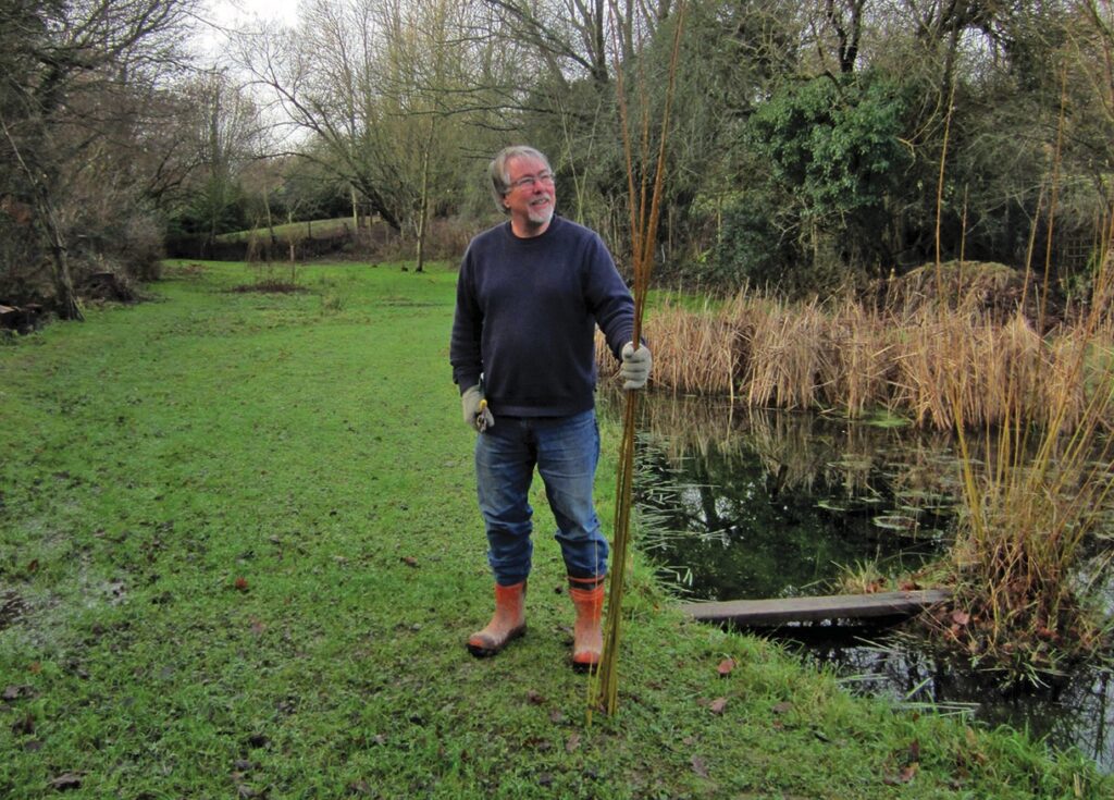 Man collecting reeds by pond in field.