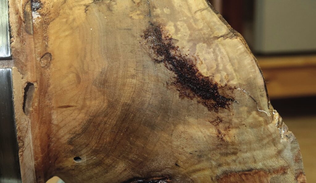 Close-up of spalted wood texture.