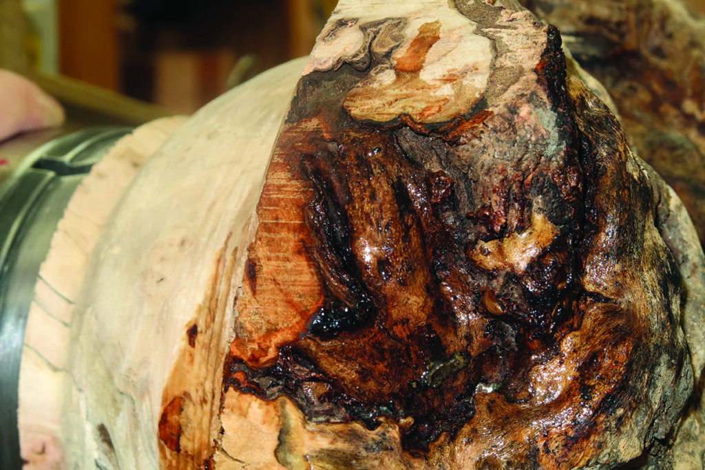 Close-up of textured wooden surface with rich colours.