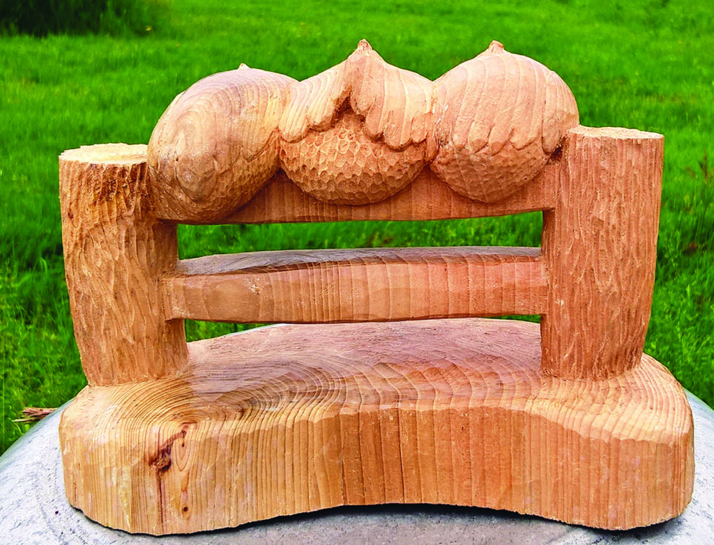 Wooden bench with carved seashells in field