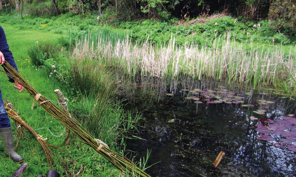 Person building a willow fence by a pond.