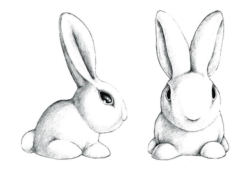 Sketch of two cute rabbits sitting.