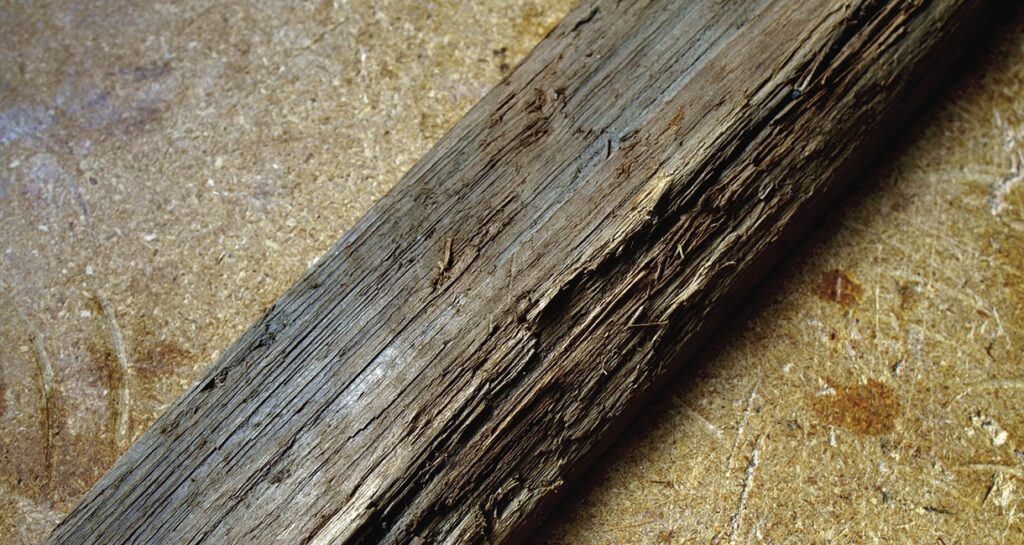 Close-up of a rough wooden surface