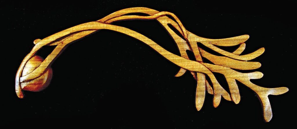 Wood sculpture resembling a neuron shape on black background.