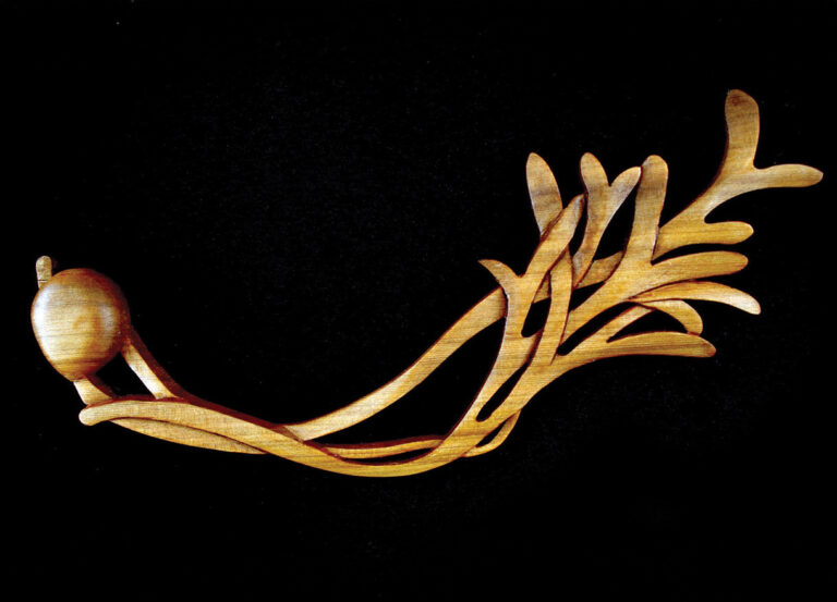Wooden sculpture shaped like a snail and branches.