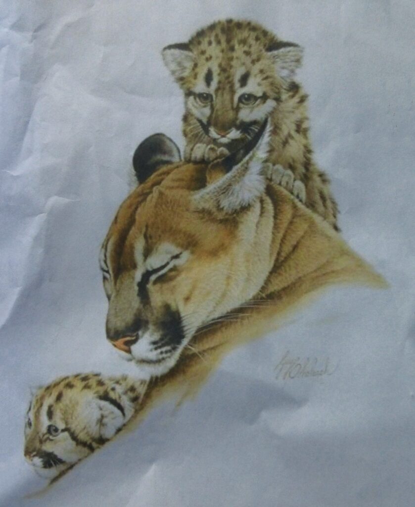 Painted cheetah family resting together on white background.