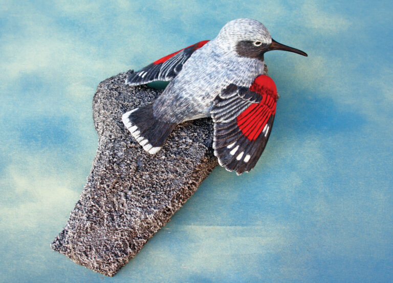 Red-winged bird perched on rock