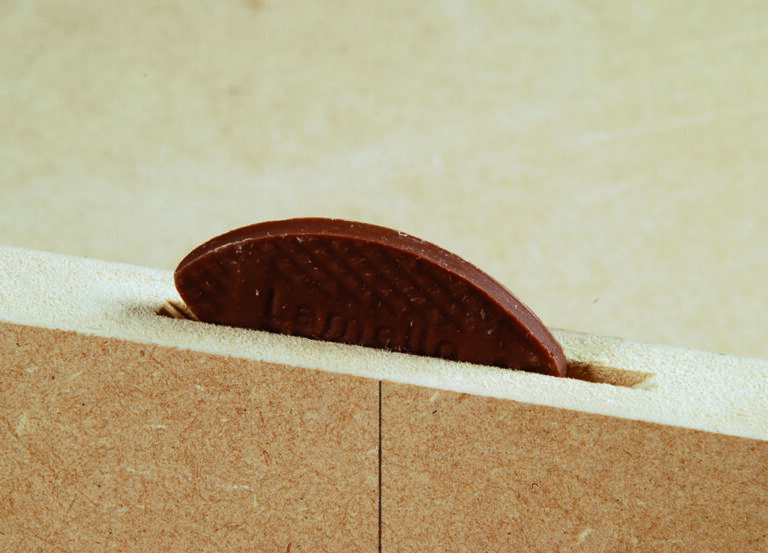 Wood biscuit joining two boards