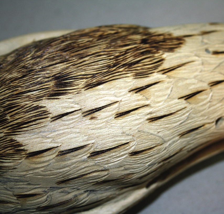 Detailed carved wooden duck feathers close-up.
