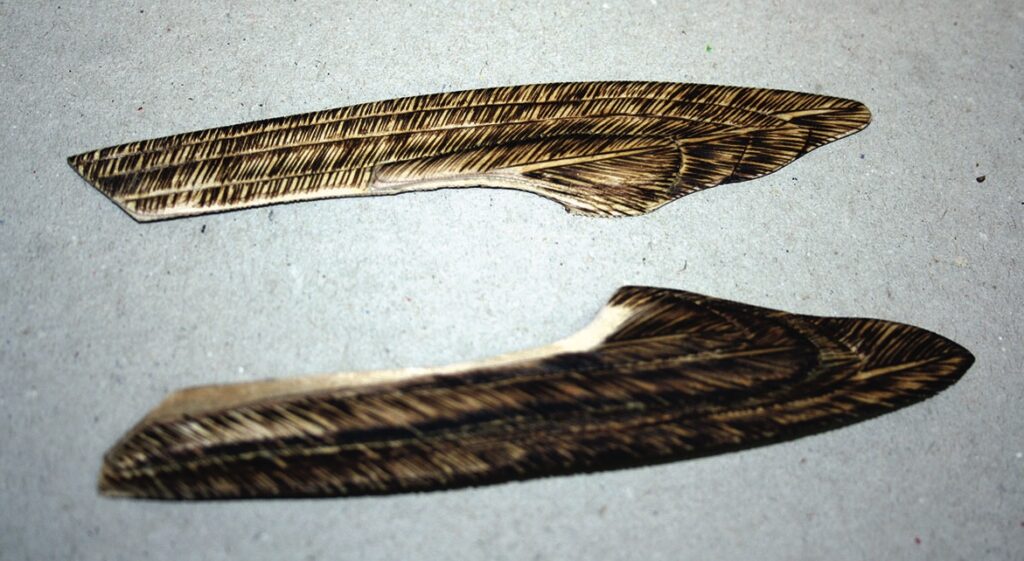 Two carved wooden feathers on display.