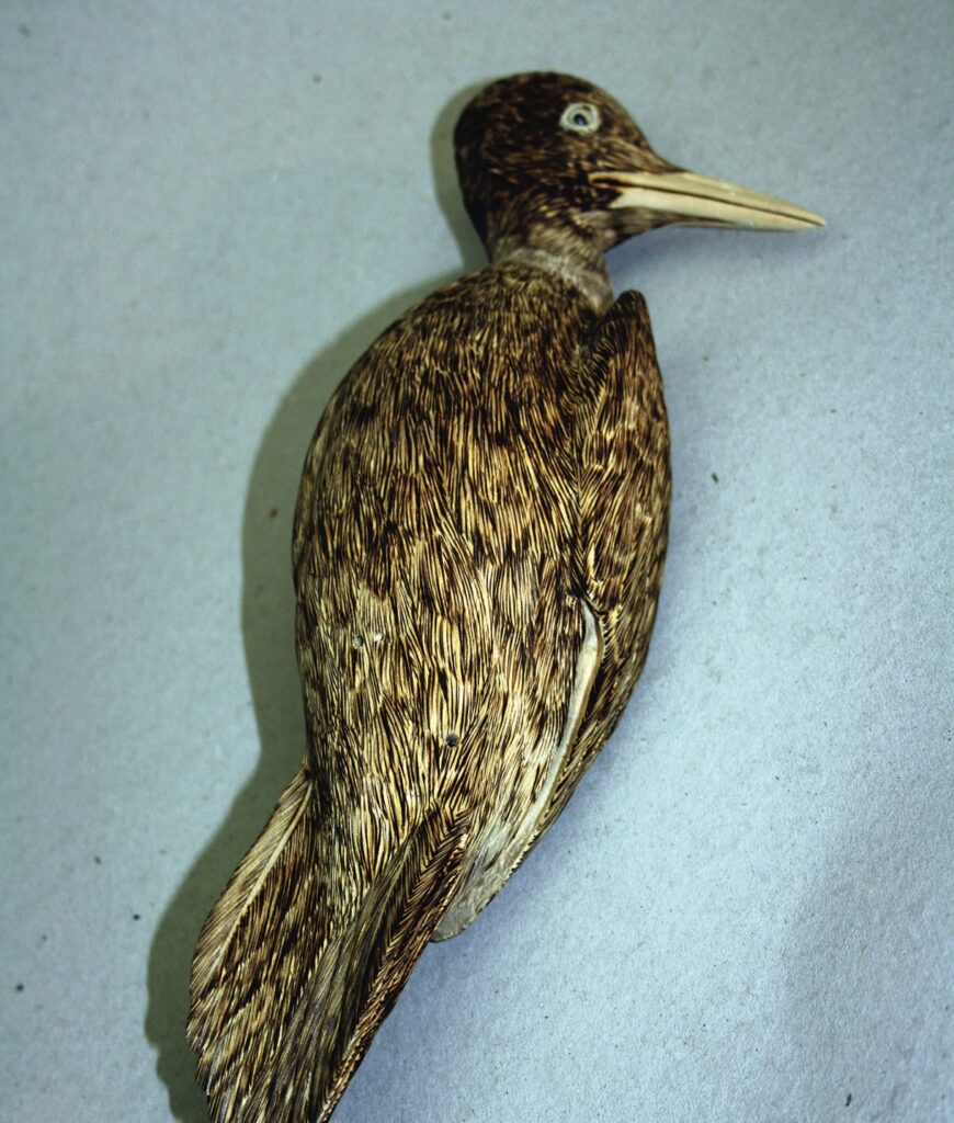 Close-up of a stuffed bird on a grey background.