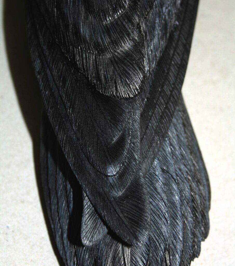 Close-up of detailed black carved feathers.
