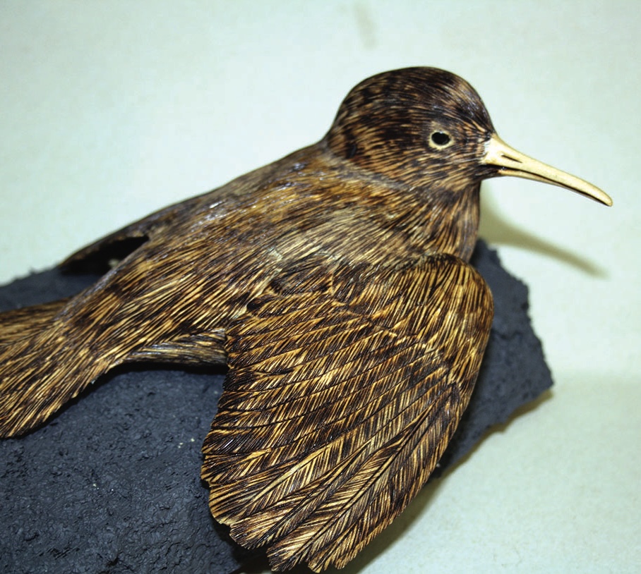 Taxidermy display of a small bird on black rock.