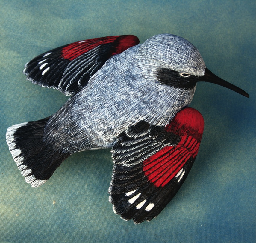 Grey and red bird craft on green background.