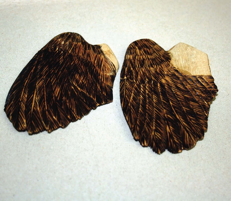 Wooden carved bird wings on a light background.
