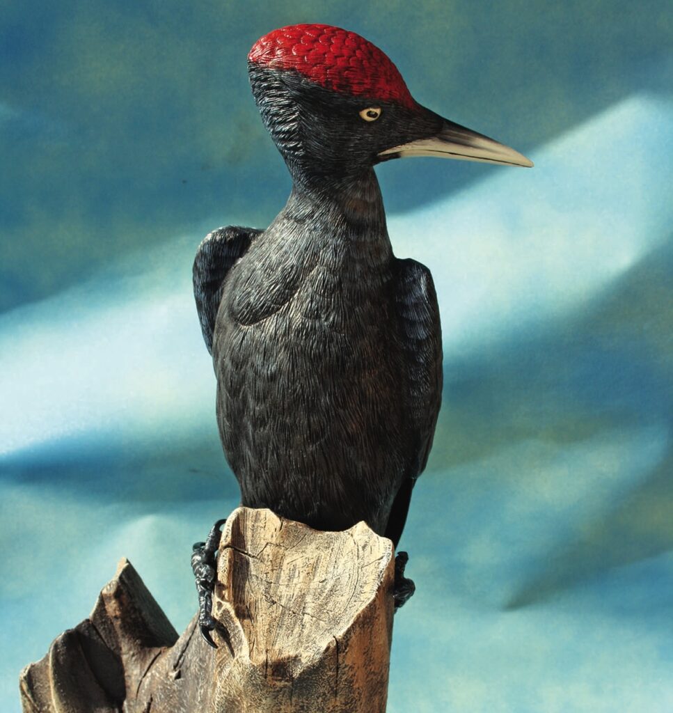 Black woodpecker perched on a tree stump.