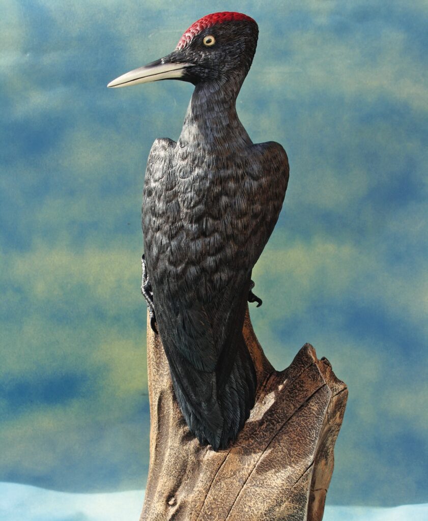 Black woodpecker perched on a tree branch.