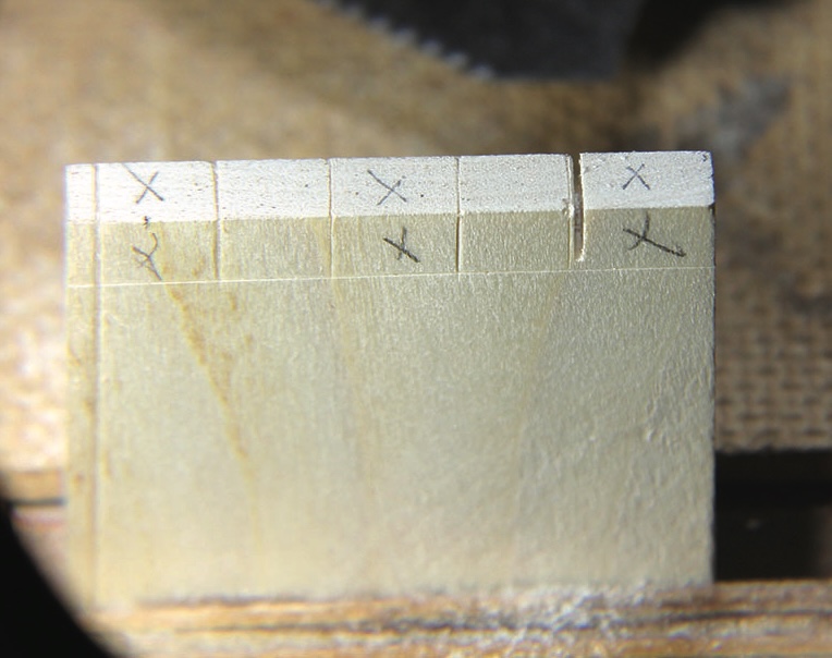Wood marked for dovetail joint cutting