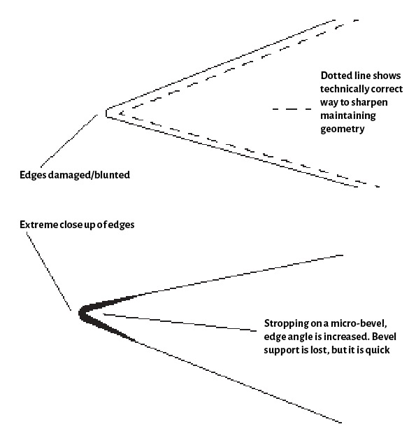 Diagram showing correct edge sharpening technique.