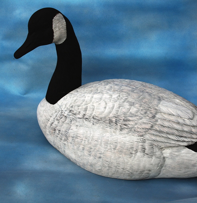 Canadian goose decoy on blue background