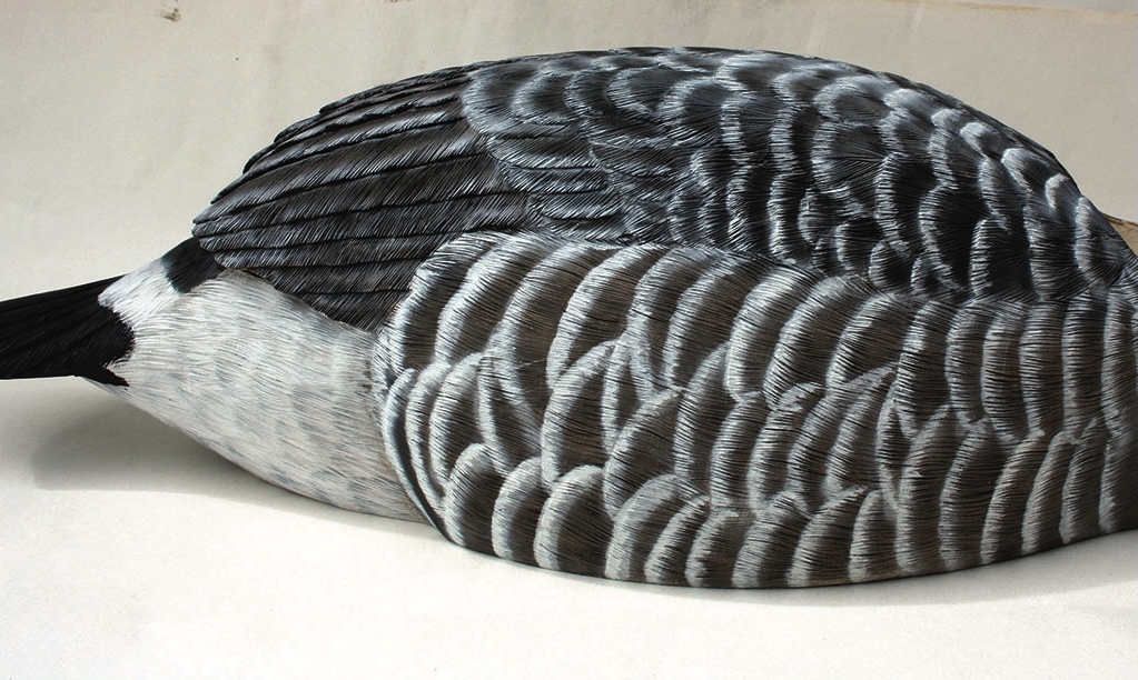 Close-up of bird's detailed feather patterns.
