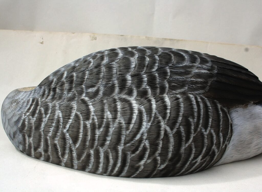 Close-up of grey bird feathers.