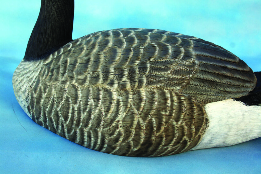 Detailed close-up of bird's feather patterns.